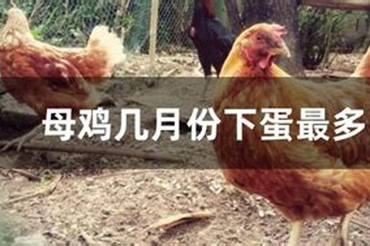 74年农历9月13日出生的人是什么星座
