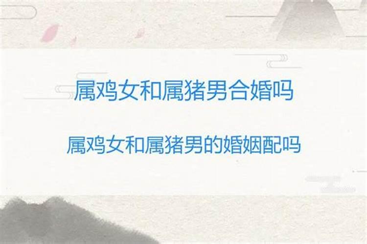 83年的男猪和93年的女鸡配吗