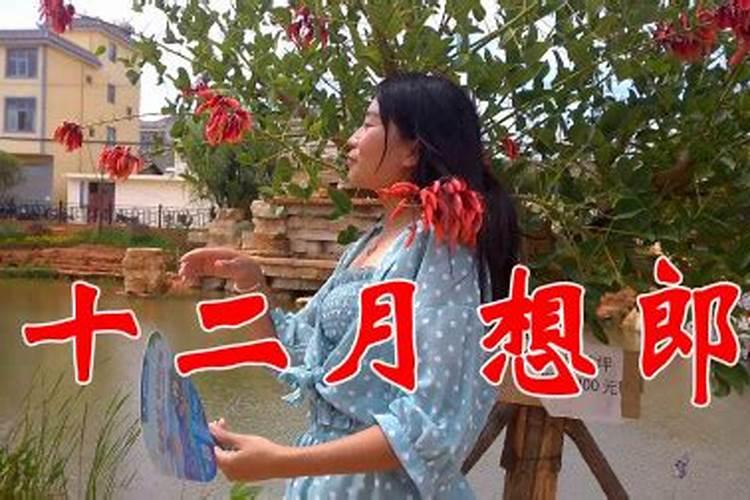 家里有鬼的十种征兆如何判断家中是否有鬼的迹象