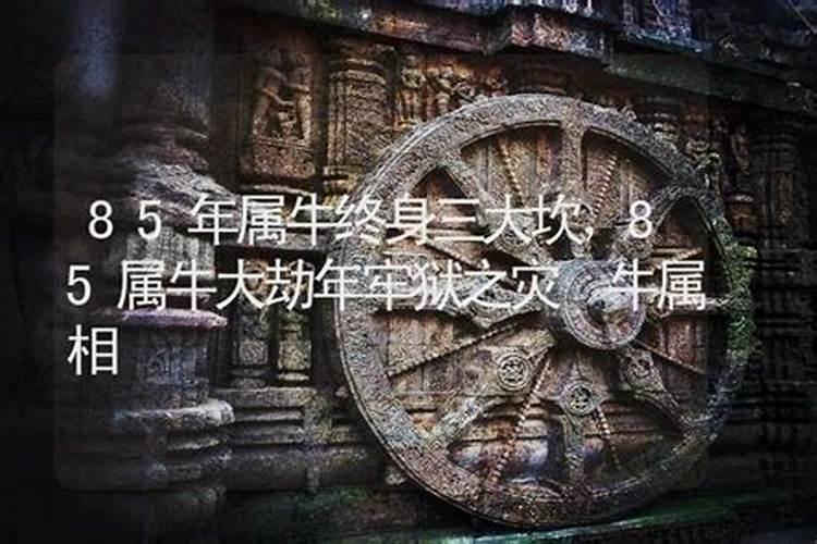 2025年犯太岁会很严重的生肖