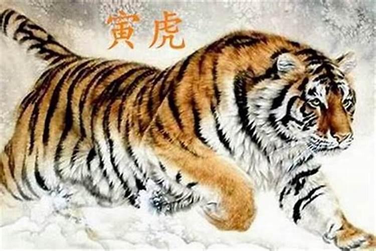 清明节的风俗是什么