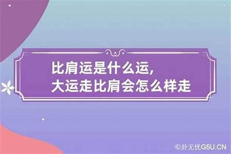 八字的比是什么意思？