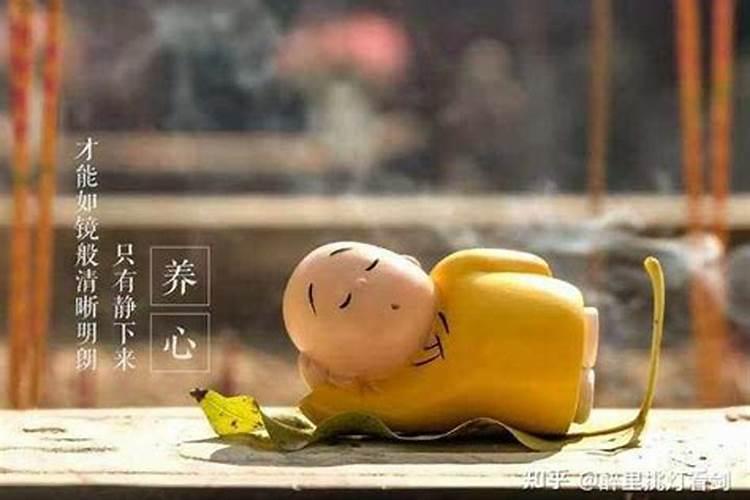 中秋节供月月饼供几个