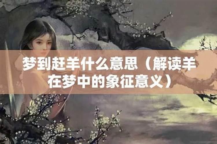 1975年生肖兔2025年运势及运程
