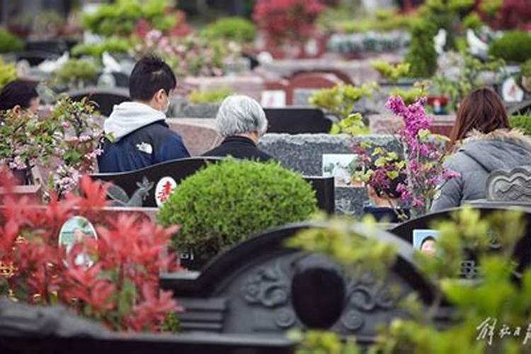清明节小学生网上扫墓流程