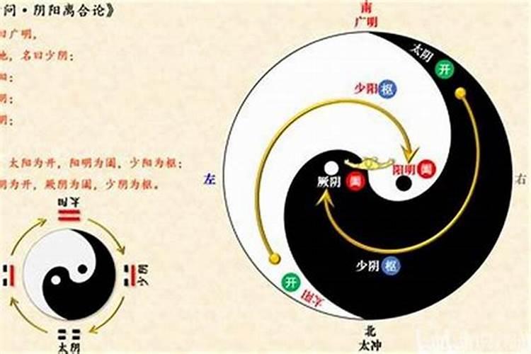 91年属羊2025年运势及运程