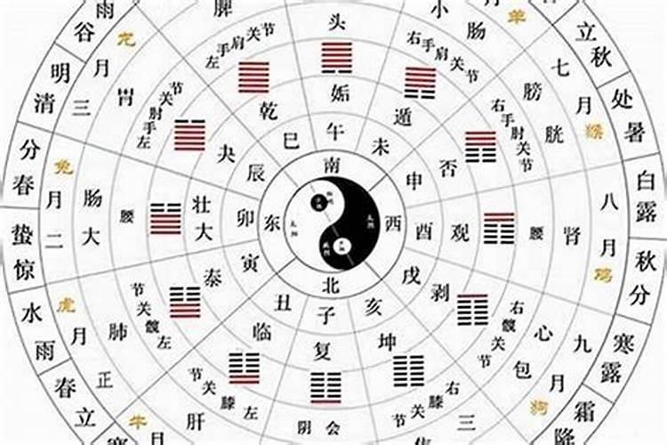 夫妻八字天干地支相合,夫妻相合是看天干还是地支？