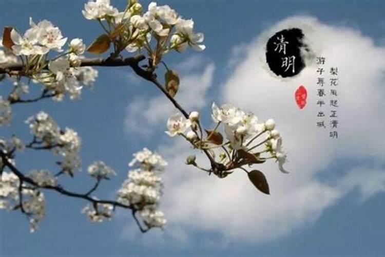 为何中国传统清明节不计阴历,而是阳历4月5日？