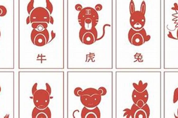 六五年出生的人是什么命