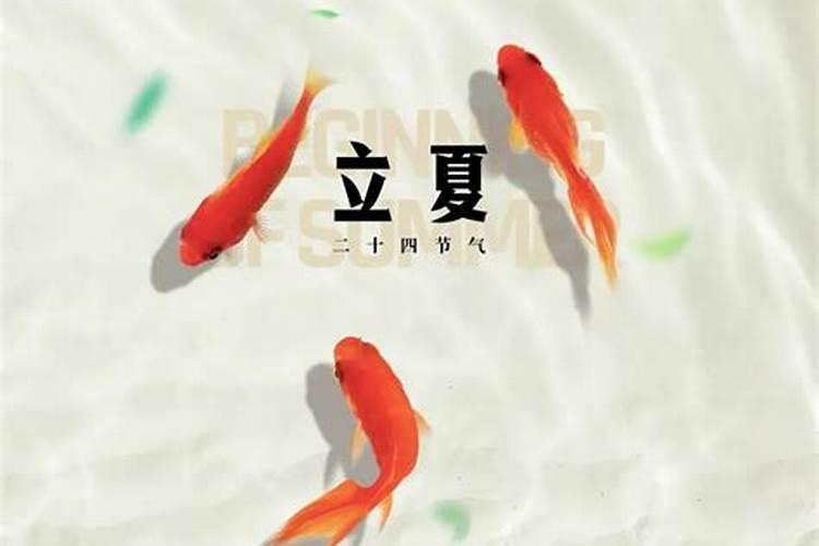 立夏有什么禁忌吗 立夏的由来