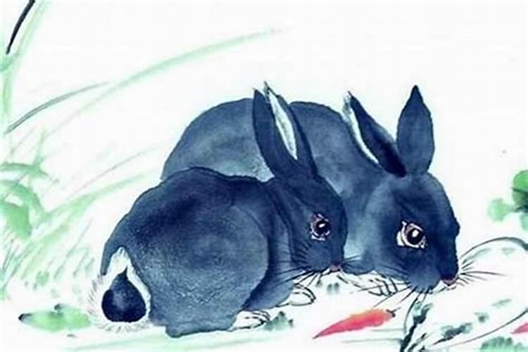 什么是童子？