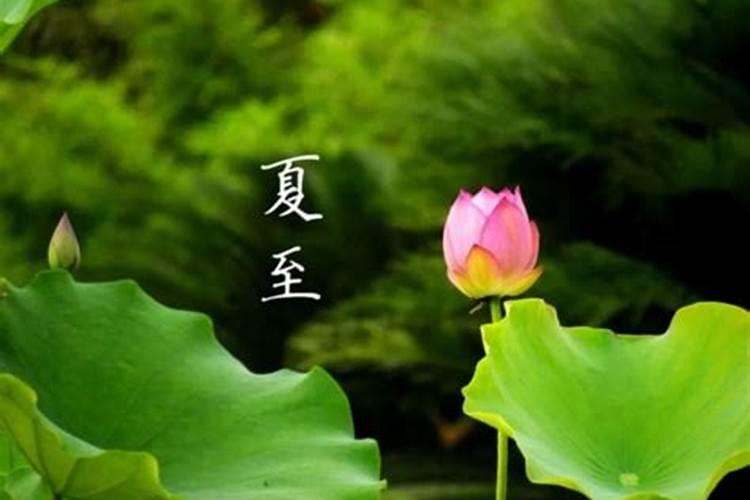 夏至未至的含义是什么