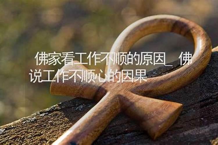 属狗人虎年运程怎么样