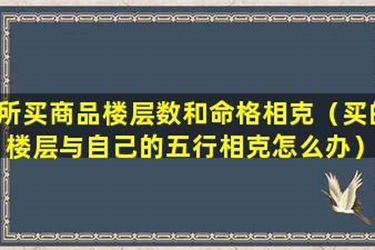 兔年不宜结婚的属相