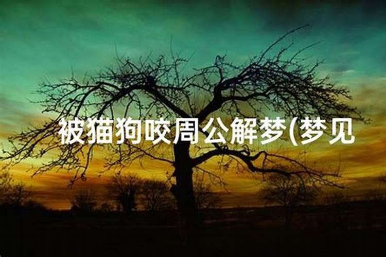 戊辰年出生什么命