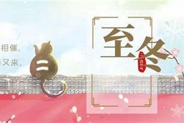 开车撞死猫是什么预兆？