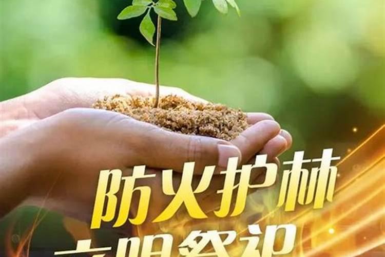 男生本命年送什么比较好？  知乎