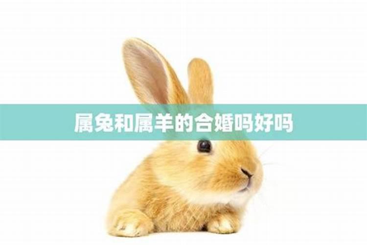 2个都属兔,男3月出生,女4月出生结婚好吗