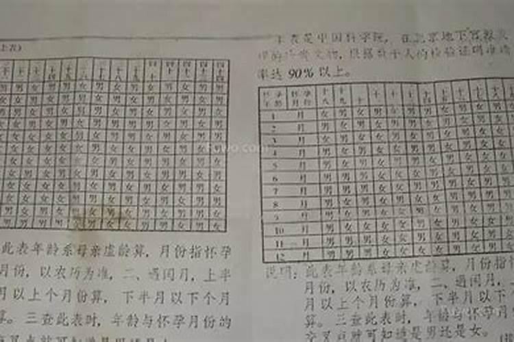 1987年属兔2025年的运势及运程如何