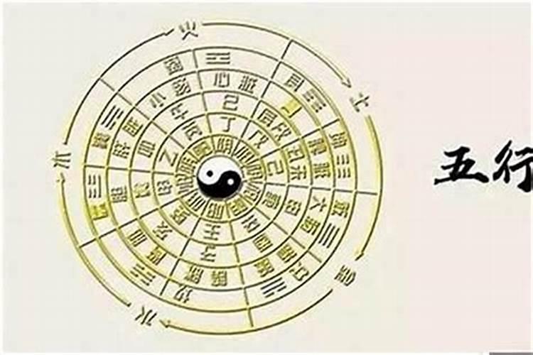 七二年属鼠女人在2024年的命运如何呢