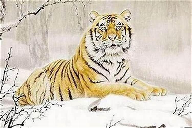 我男友揭阳惠来的,我妈嫌远没同意,现在秘密拍拖中……他想让我过年去...
