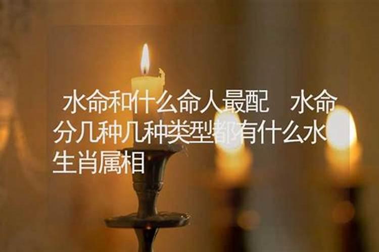 属鸡人2025全年运势 属鸡人2025年每月运势