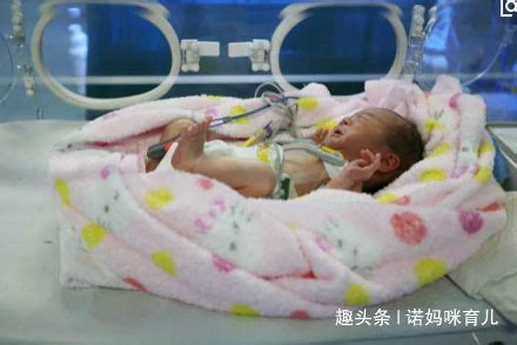 八卦五行之中的术语 “透丁为用”什么意思