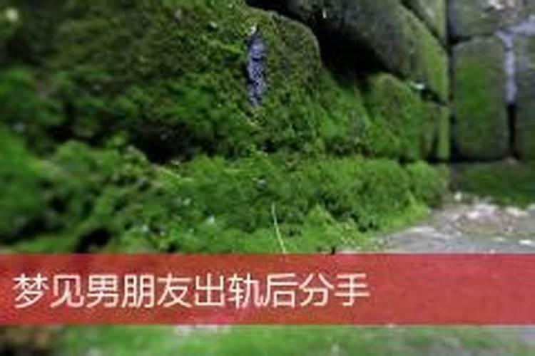 正月15是几号