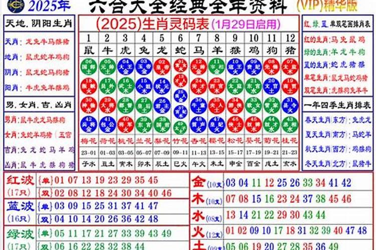 属马2025运势及运程每月运程,2025年属马人运的运势势及运程每月指南百 ...