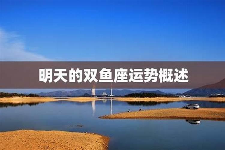 穷人富人都喜欢是什么生肖