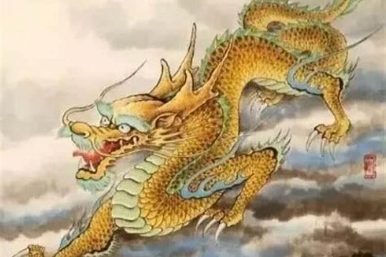 八字不合孤苦无依的动物是什么