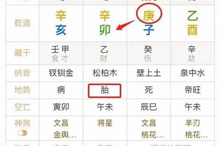 八字不合分两地猜一个生肖,八字合婚表