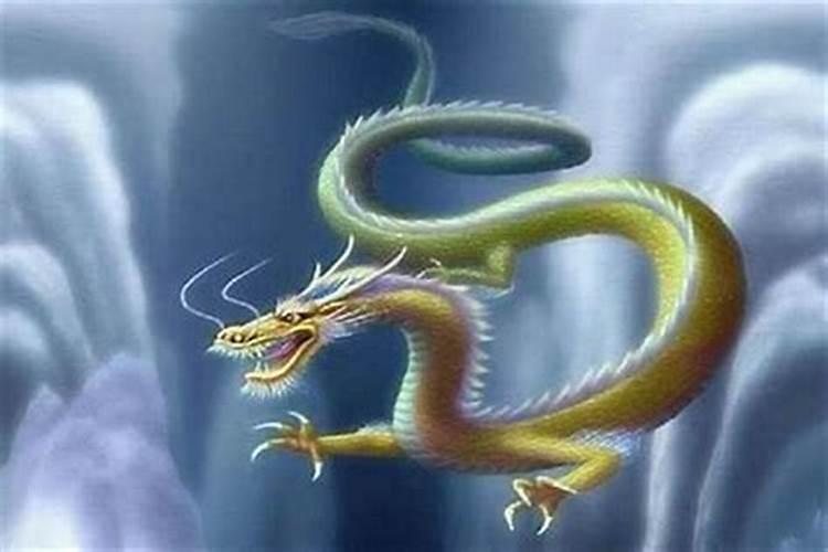 帮助属龙人升职旺运的书房风水