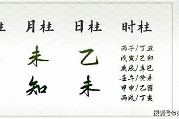 乙未日五行属木还是金