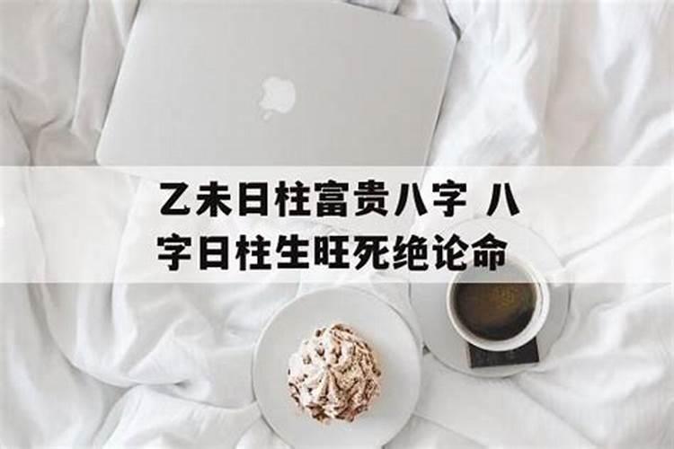 戊午年乙卯月乙未日丁亥时生人命运如何？