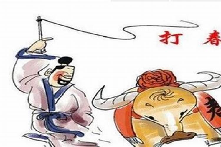 海南人立春吃什么