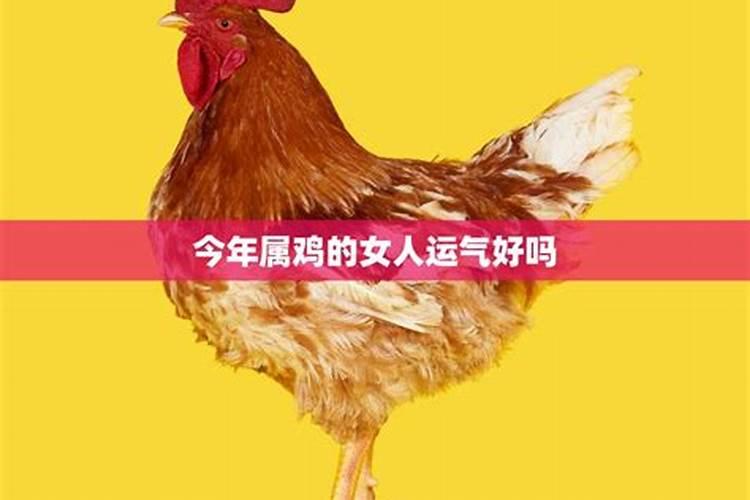 69年属鸡人2025全年运势