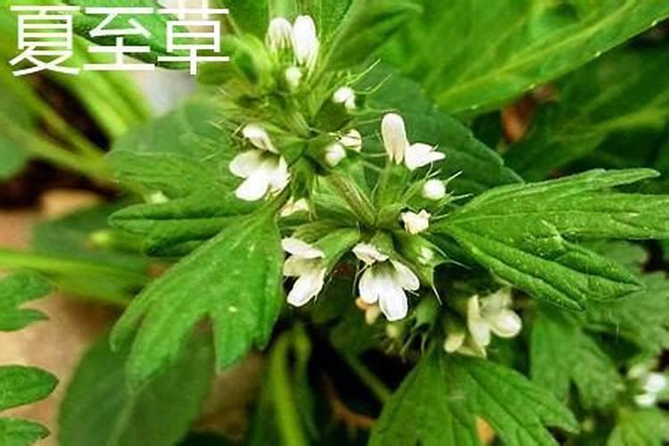 梦见自己骑车差点摔倒