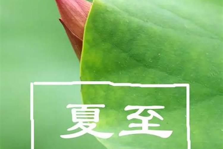 冬至节气都吃什么传统食物 冬至要吃的美食有哪些
