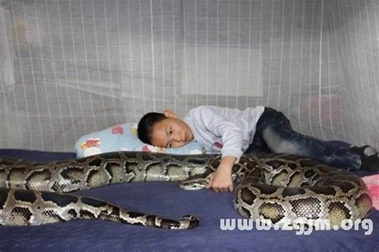 梦见两条蛇追我是什么意思？