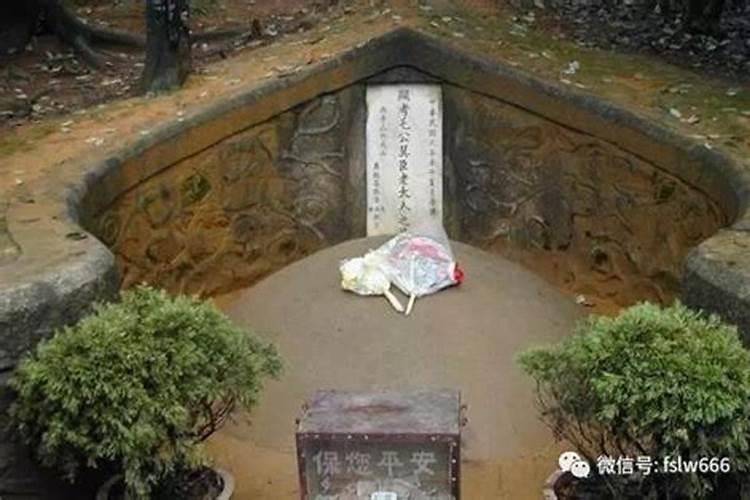 属兔的人今年利不利身体好么