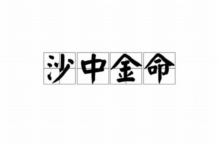沙中金命是什么意思