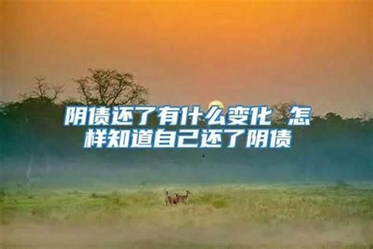 本命年躲星真的能化解犯太岁吗？