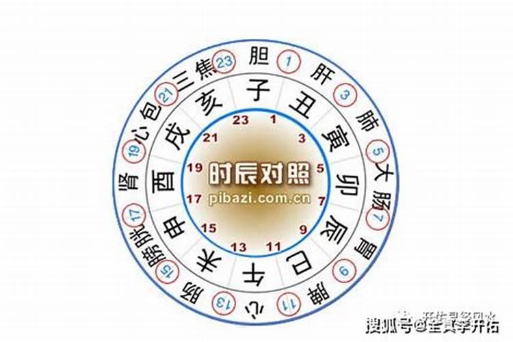 真童子和假童子八字上的区别 生辰八字童子和真童子区别？