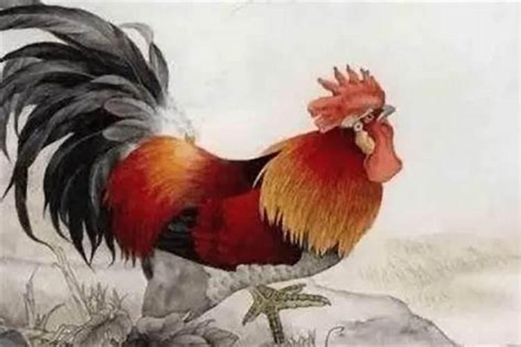 1993年属鸡人正缘属龙人和属牛人？