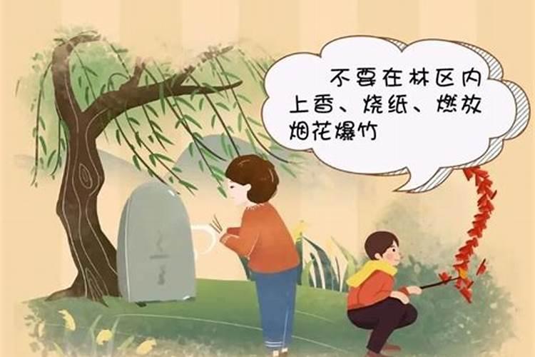 为什么今年清明节不能烧纸