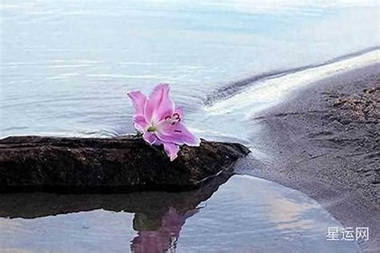 如何化解烂桃花？