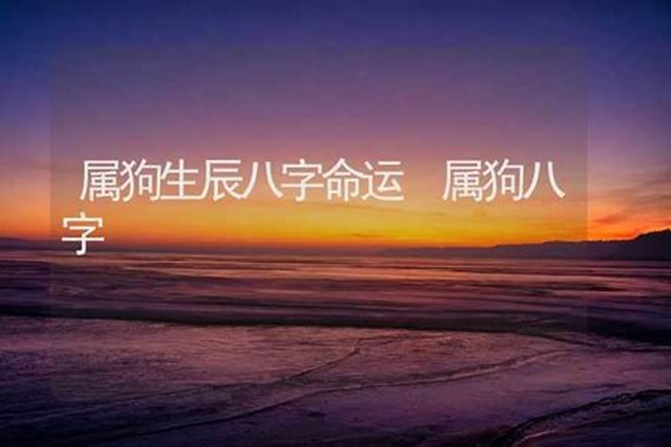 1982.农历11.13 卯时 男 这个八字怎么样