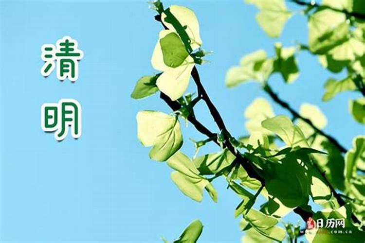 生肖羊1991年2025年运势如何 生肖羊1991年2025年全年运势