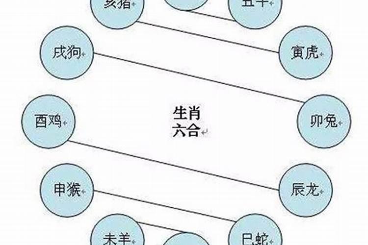 属龙与龙婚配属相最好的化解方法